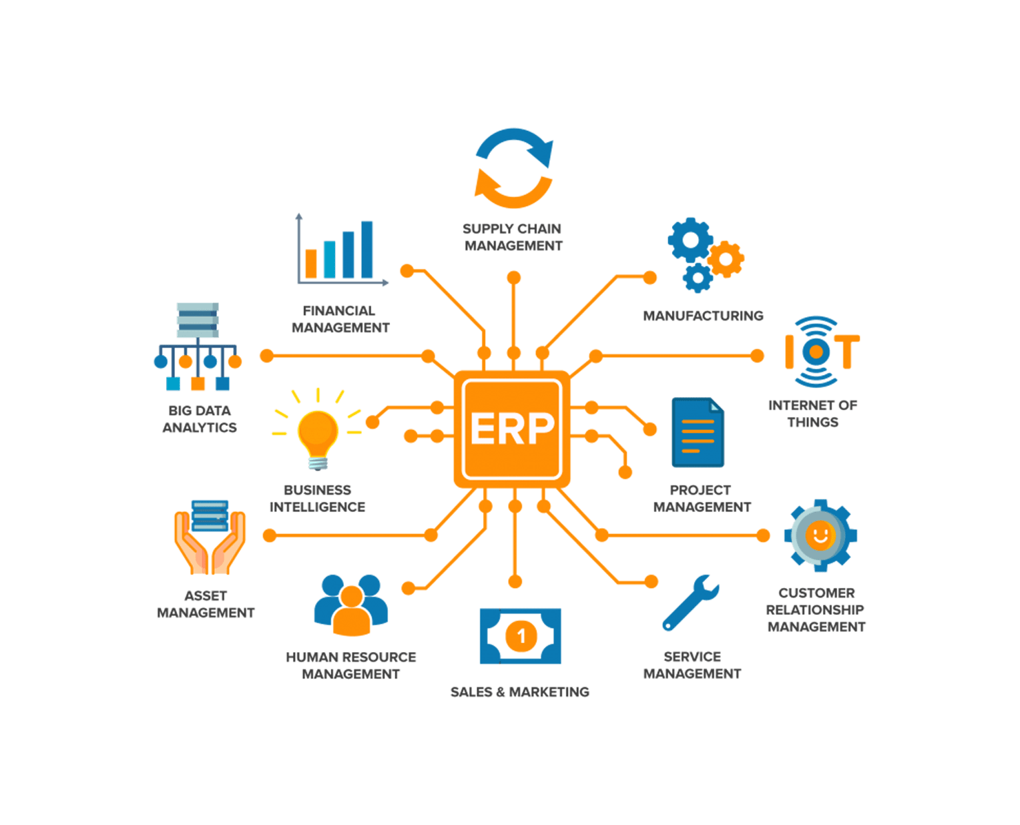 ERP Software Services